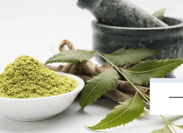 prostalite neem leaf powder